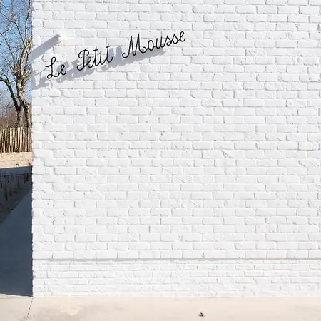 Villa Petit Mouche - Recently Renovated Close To Koksijde