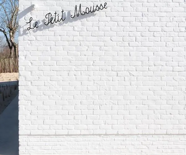 Villa Petit Mouche - Recently Renovated Close To Coxyde